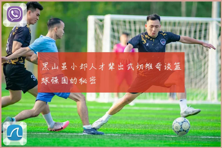 黑山虽小却人才辈出武切维奇谈篮球强国的秘密